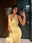 Cindy Sequin Maxi Dress
