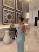 Jenny Sequin Maxi Dress